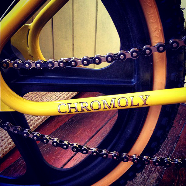 Chainstay chromoly decal detail