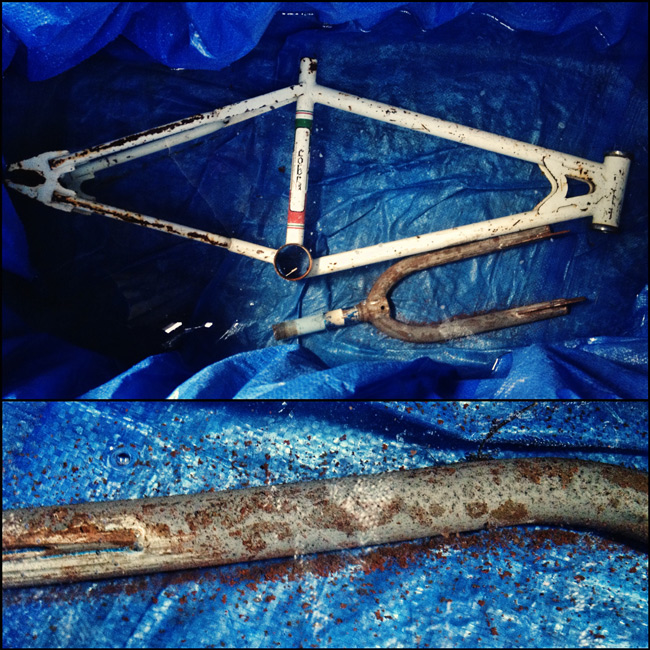 TBC Cobra Pro, Diamondback TK, frame in vinegar acid bath to remove rust 