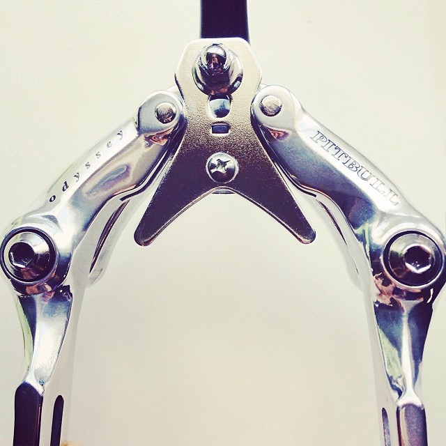 Restored Odyssey Pitbull Rear Caliper