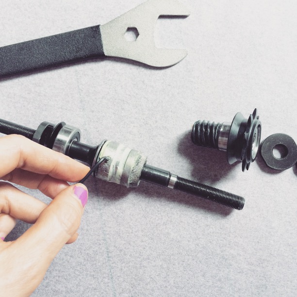 Taska freecoaster clutch setup