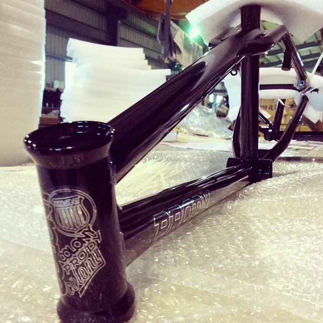 Colony Prody custom decal set