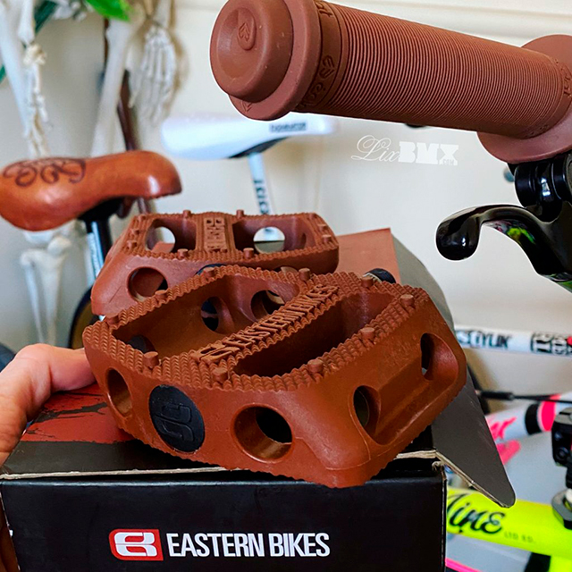 Eastern Brown Snake pedals on Colony Prody